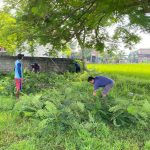 JUMAT BERSIH “Kerja Bhakti Pemdes Wateskroyo, Wujudkan Lapangan Desa yang Bersih dan Indah”