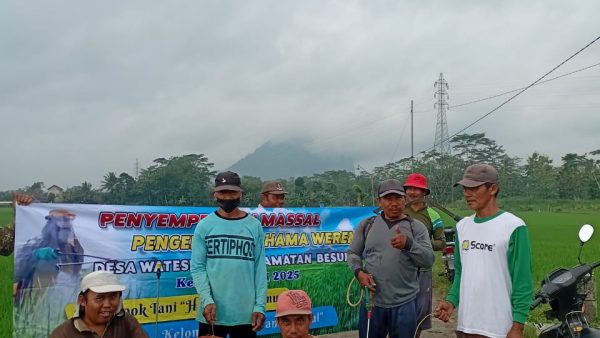Penyemprotan Massal Pengendalian Hama Wereng